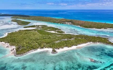 Sand Dollar Cay Berry Islands BS