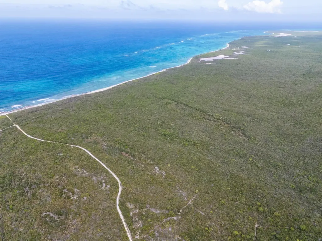 Cat Island Cat Island BS