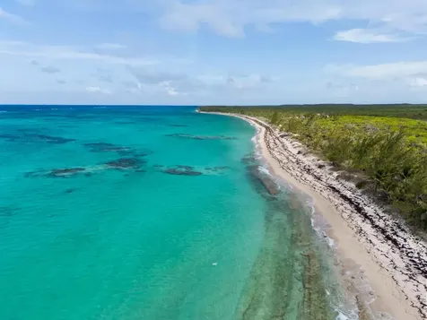 Cat Island Cat Island BS