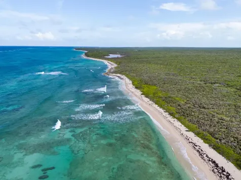 Cat Island Cat Island BS