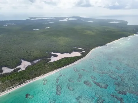 Cat Island Cat Island BS