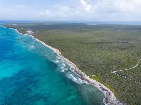 Cat Island Cat Island BS