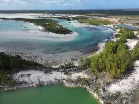 Kiki House Cutlass Bay Cat Island BS