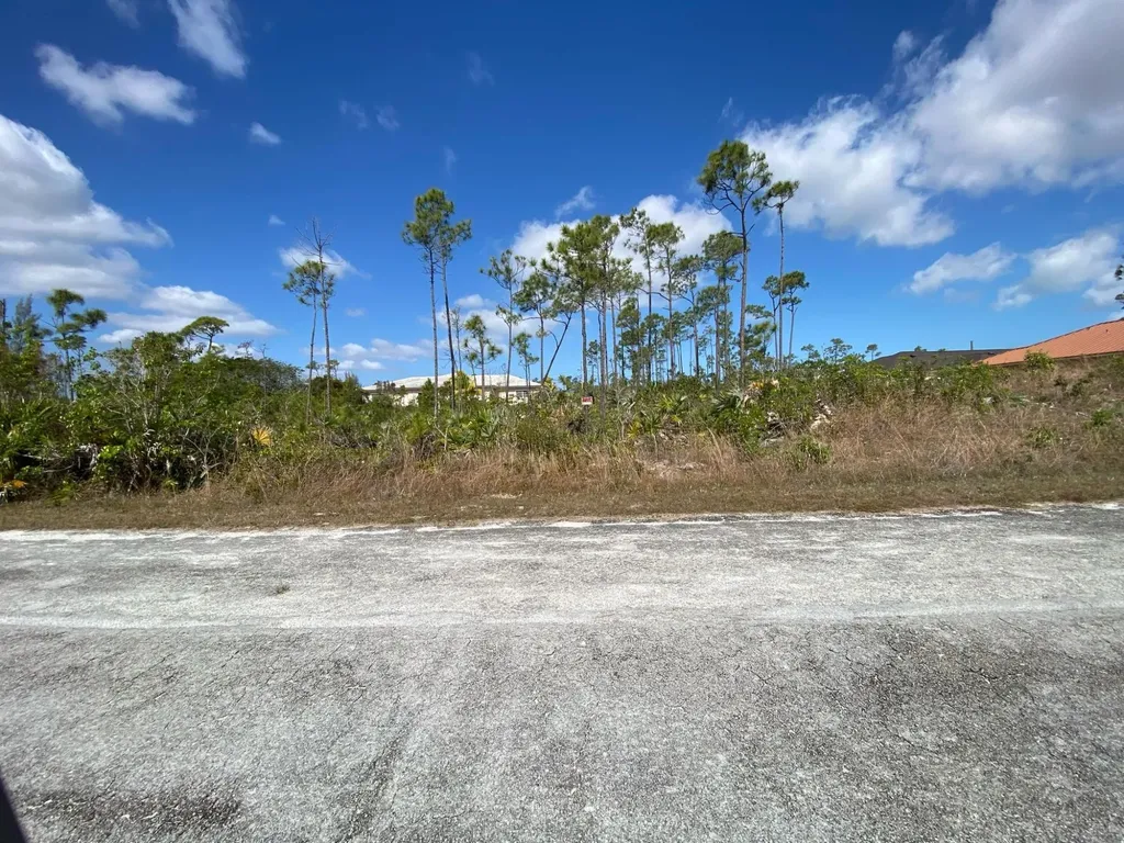 Brinkhill Road, Lincoln G 30 & 31 Grand Bahama Freeport BS