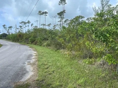 Golden Hind Drive 6 Grand Bahama Freeport BS