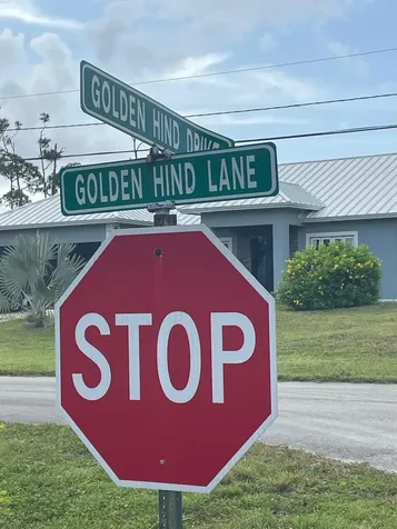 Golden Hind Drive 6 Grand Bahama Freeport BS
