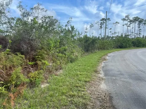 Golden Hind Drive 6 Grand Bahama Freeport BS