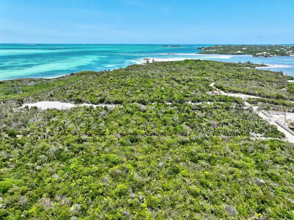 Coconut Lane Lot 3 Abaco BS