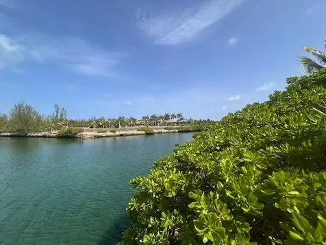 67 Roundshot Close 67 Grand Bahama Freeport BS