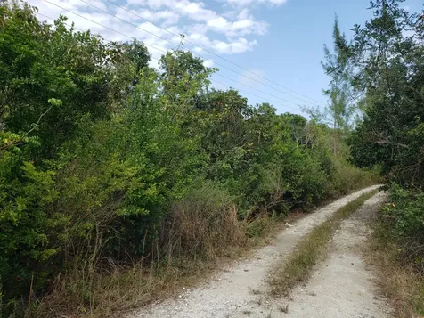 Casuarina Point Abaco BS