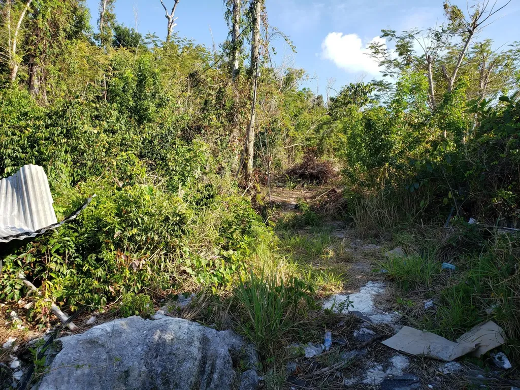 Don Mckay Boulevard Abaco BS