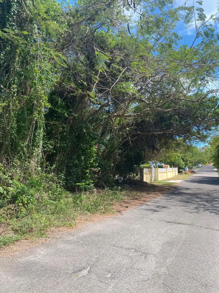 Blackbeard Terrace Lot #19 New Providence Paradise Island BS