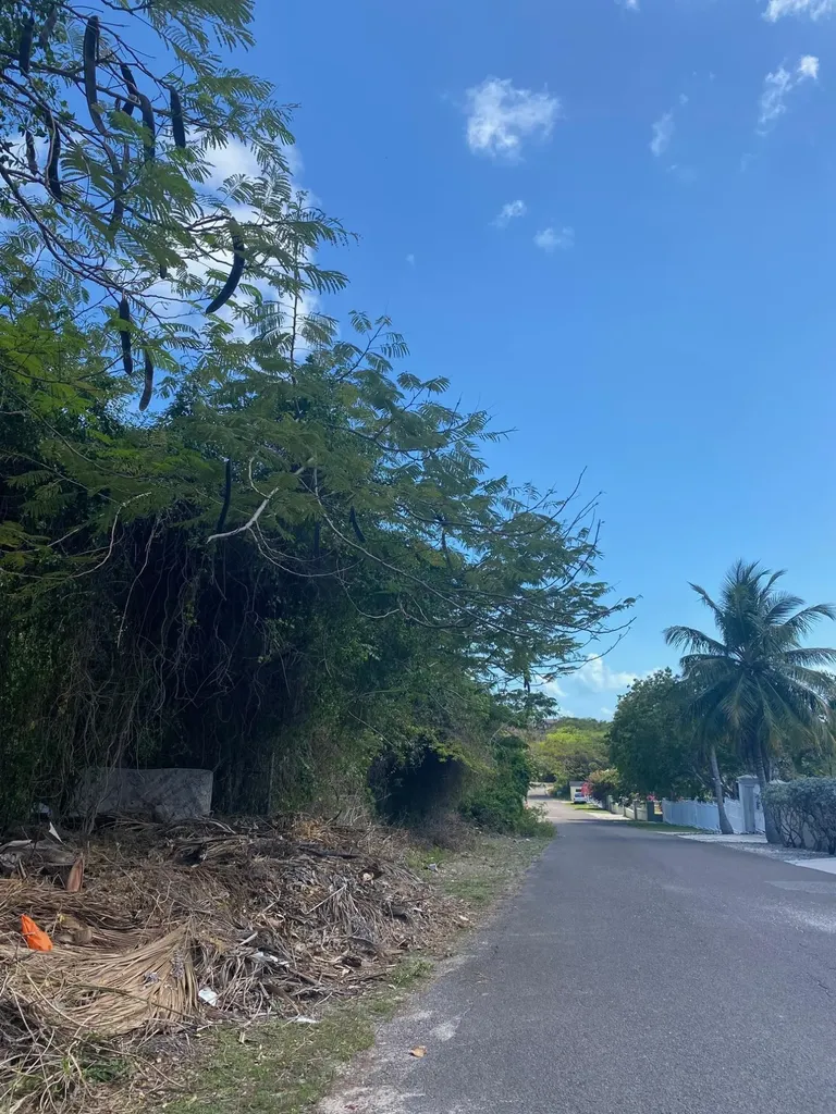 Blackbeard Terrace Lot #19 New Providence Paradise Island BS