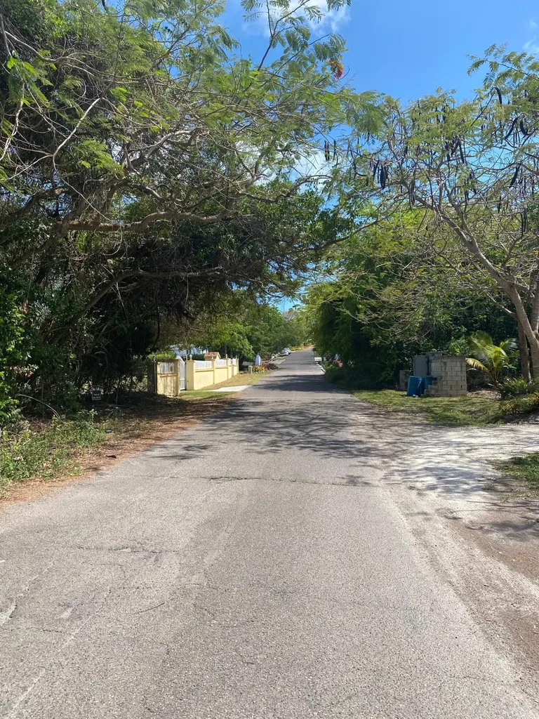 Blackbeard Terrace Lot #19 New Providence Paradise Island BS