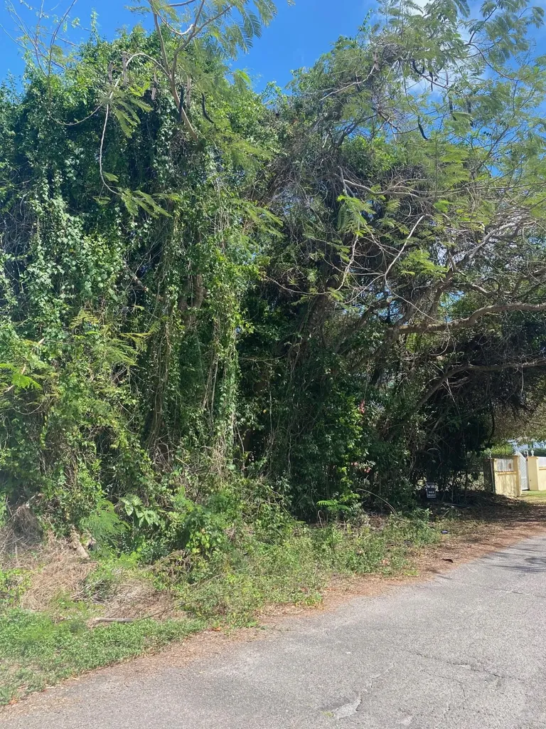 Blackbeard Terrace Lot #19 New Providence Paradise Island BS