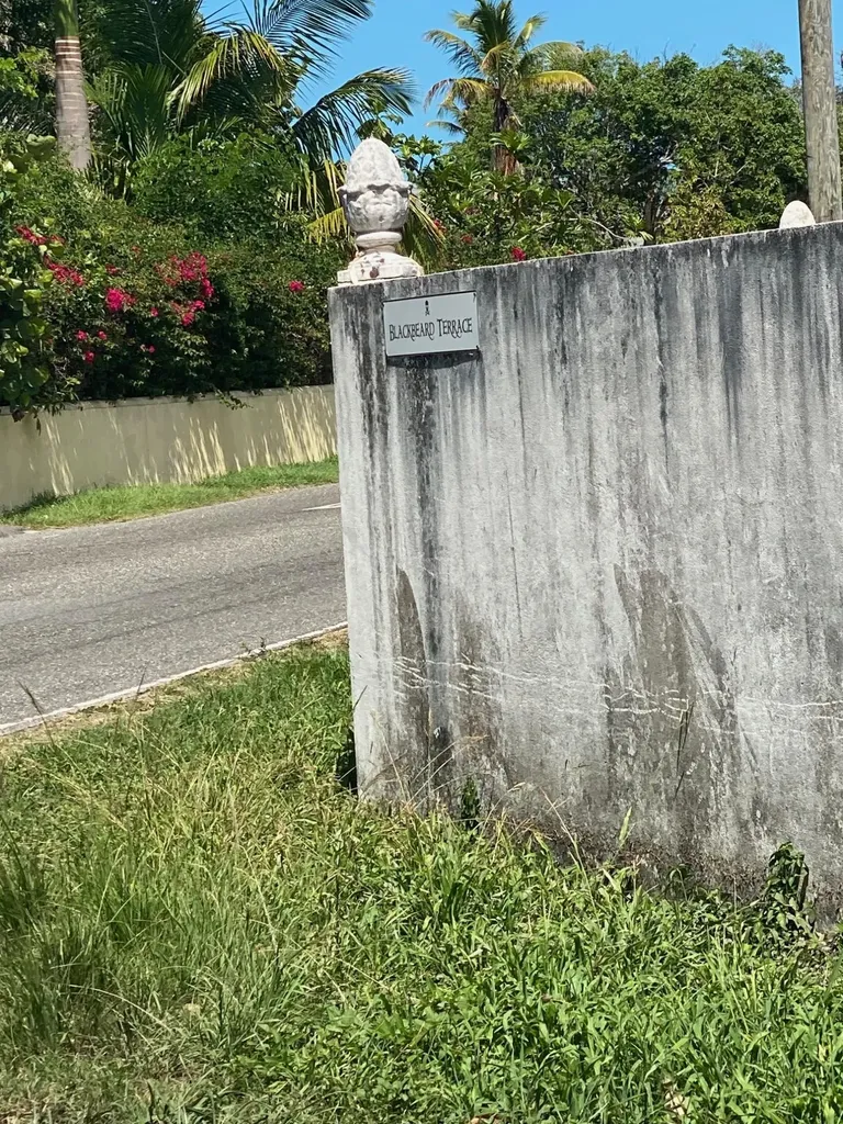 Blackbeard Terrace Lot #19 New Providence Paradise Island BS