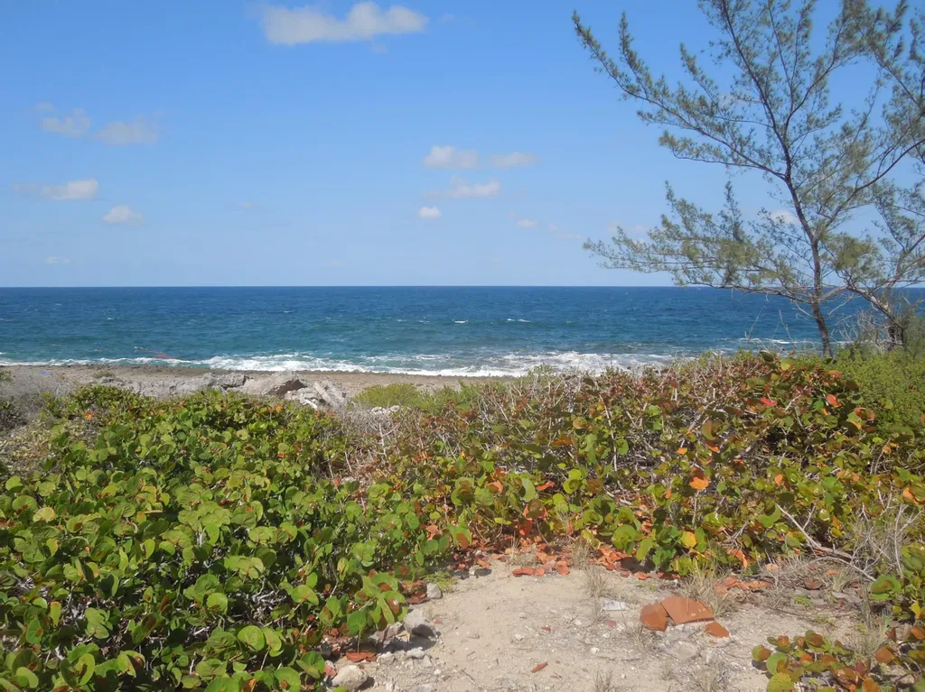 Whale Point Estates Eleuthera BS