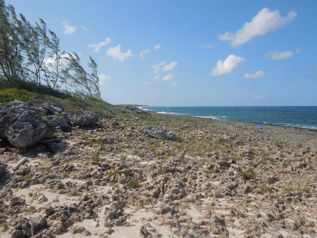 Whale Point Estates Eleuthera BS