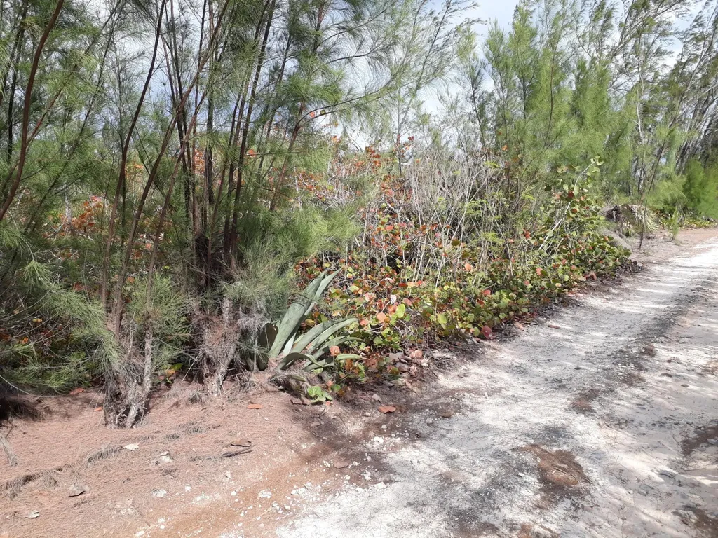 Whale Point Estates Eleuthera BS