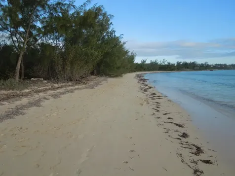 Whale Point Estates Eleuthera BS