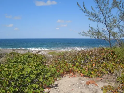 Whale Point Estates Eleuthera BS