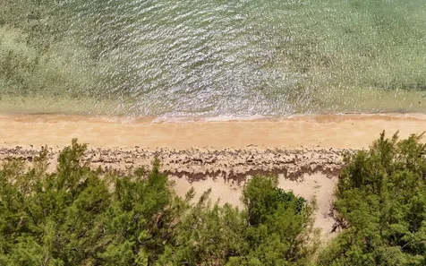 Lot 24, Fairway Close New Providence Paradise Island BS