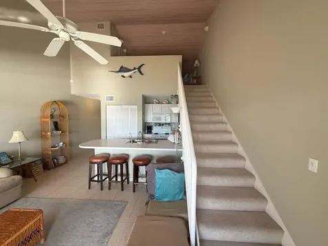 Bimini Cove Bimini BS