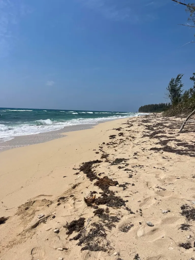 Bootle Bay Beach 7 Grand Bahama Freeport BS