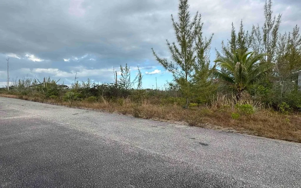 Fixer Upper Suffolk Subd Grand Bahama Freeport BS