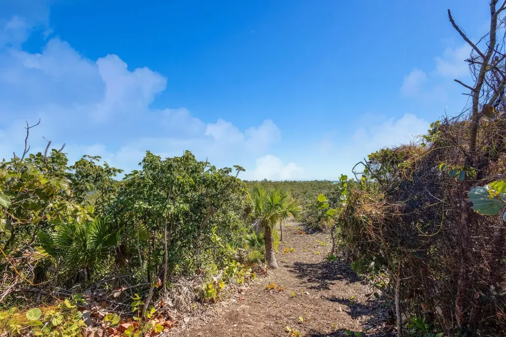Green Turtle Cay Acreage Abaco BS