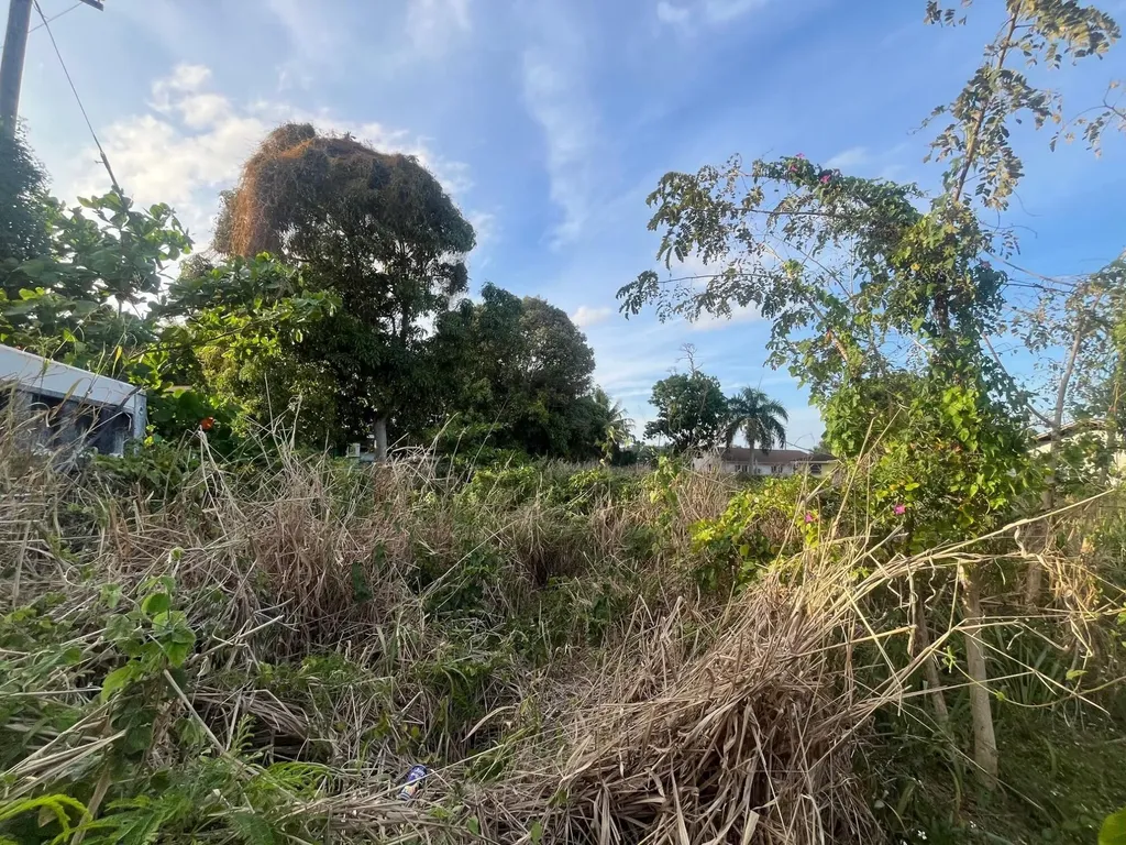 Lot 188 Joan's Heights New Providence Paradise Island BS