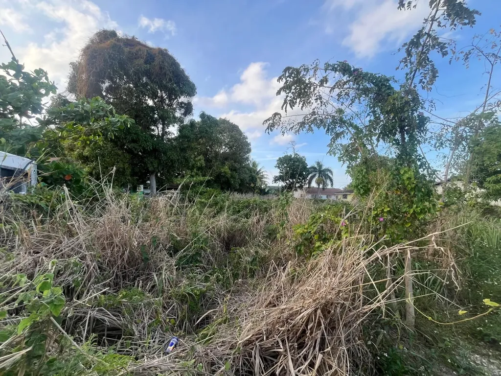 Lot 188 Joan's Heights New Providence Paradise Island BS