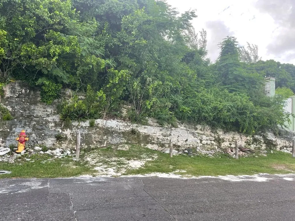 Garden Hills Vacant Lot New Providence Paradise Island BS