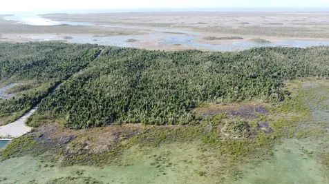 20 Acres By Treasure Cay Abaco BS