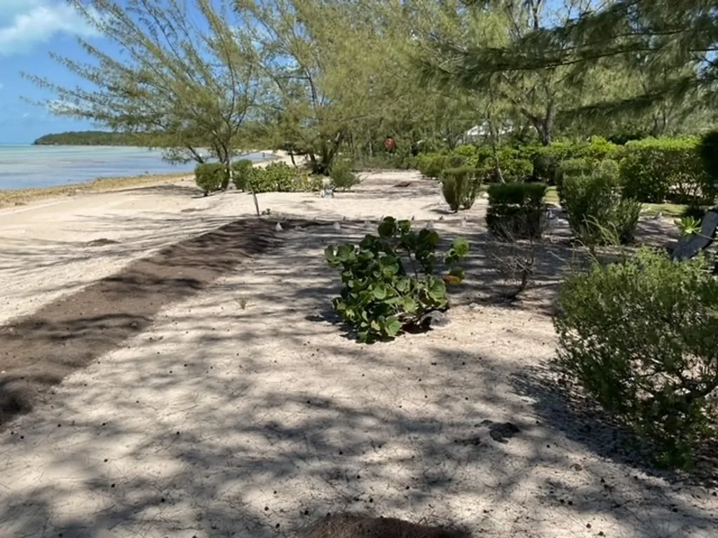 Wemyss Bight Estate Long Island BS