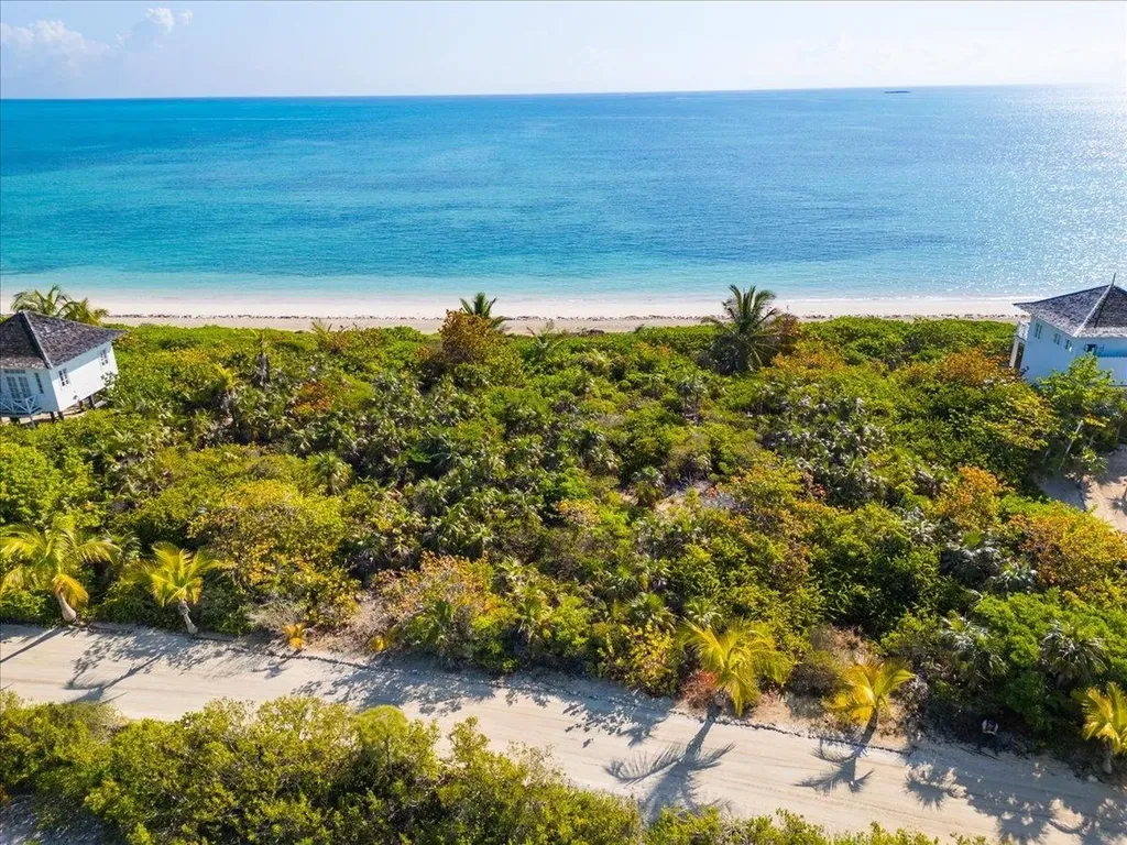 Sand Dollar Lot Andros BS