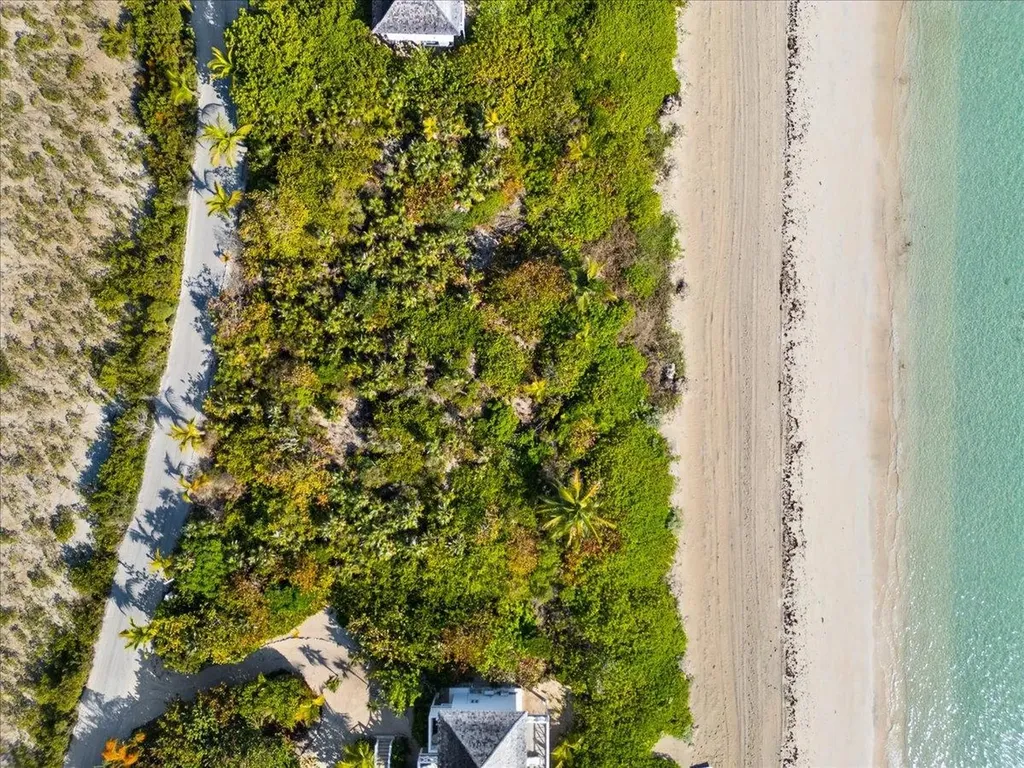 Sand Dollar Lot Andros BS