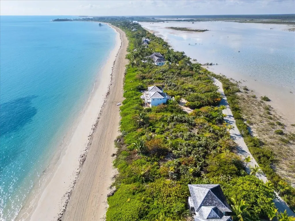 Sand Dollar Lot Andros BS