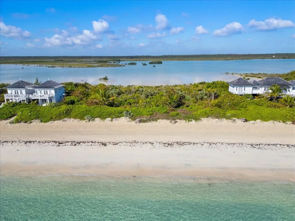 Sand Dollar Lot Andros BS