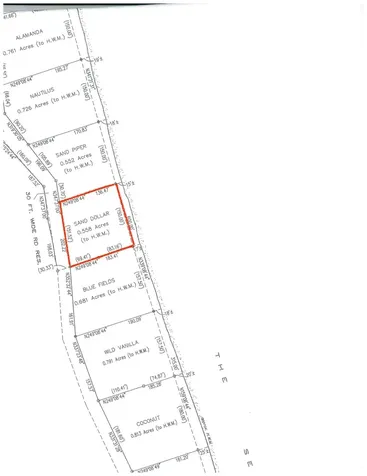 Sand Dollar Lot Andros BS