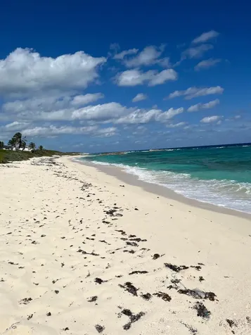 Mckann's Beach House Long Island BS