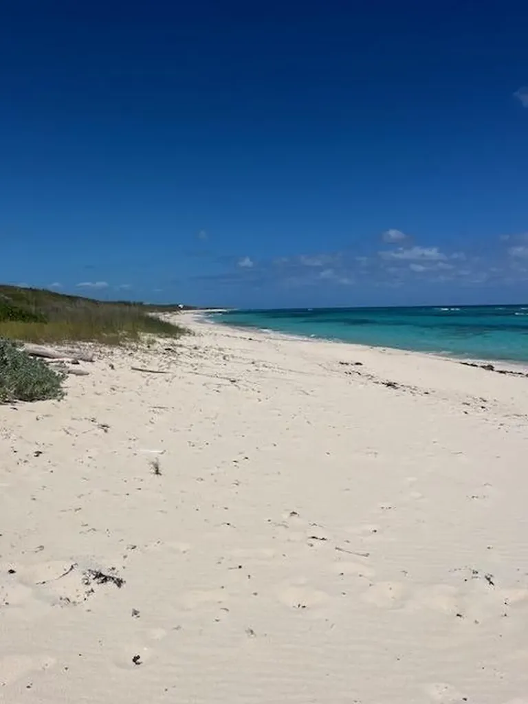 3.49 Acres, Morrisville Long Island BS