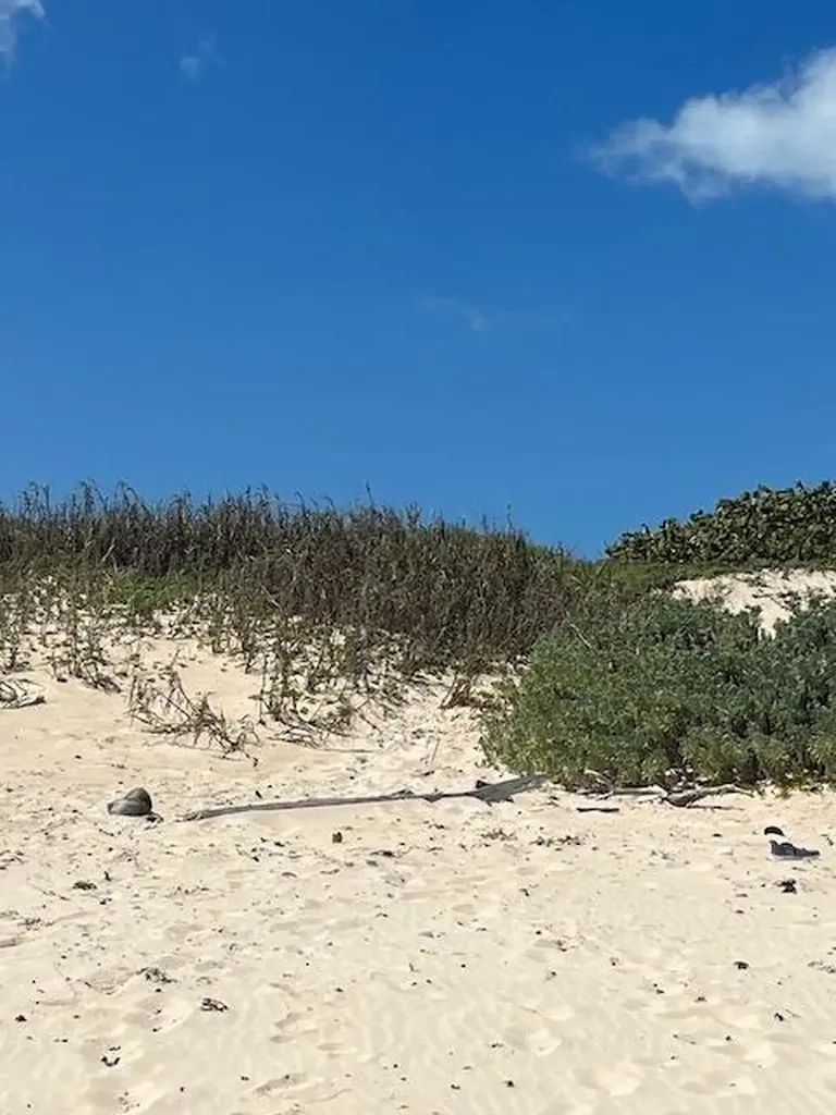 3.49 Acres, Morrisville Long Island BS