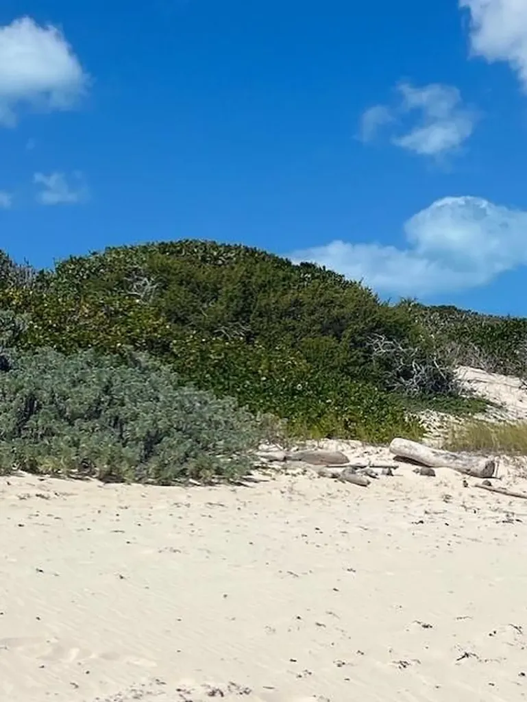 3.49 Acres, Morrisville Long Island BS