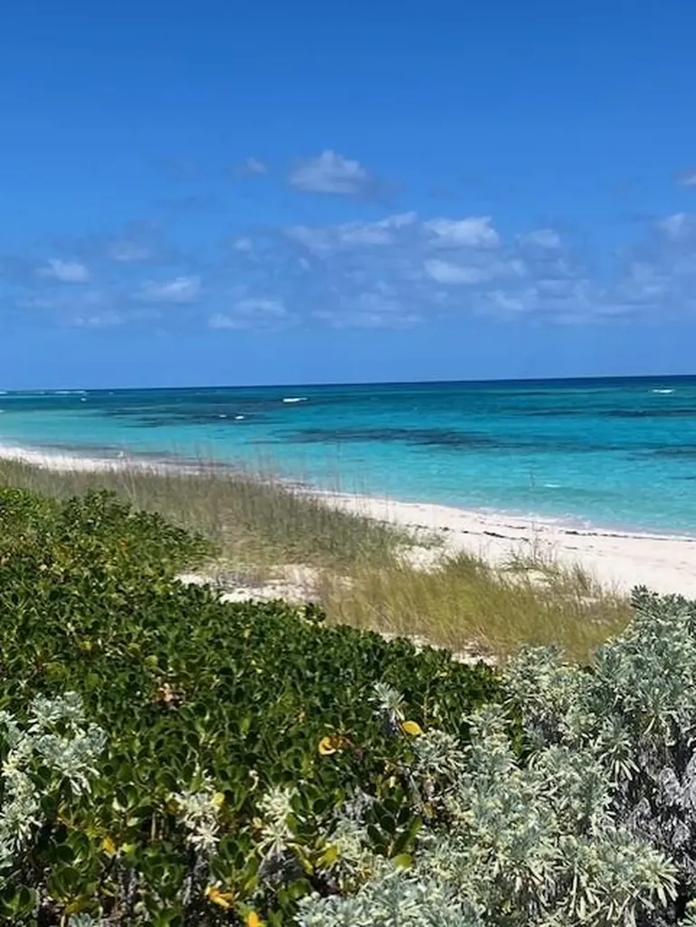 3.49 Acres, Morrisville Long Island BS