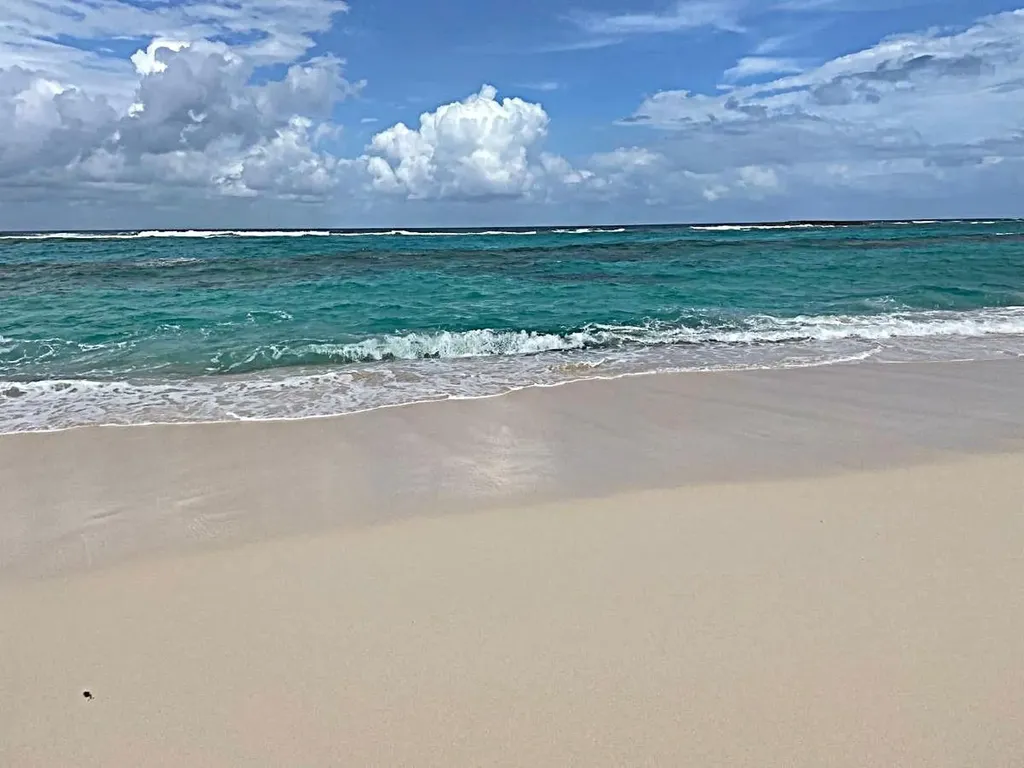 3.49 Acres, Morrisville Long Island BS