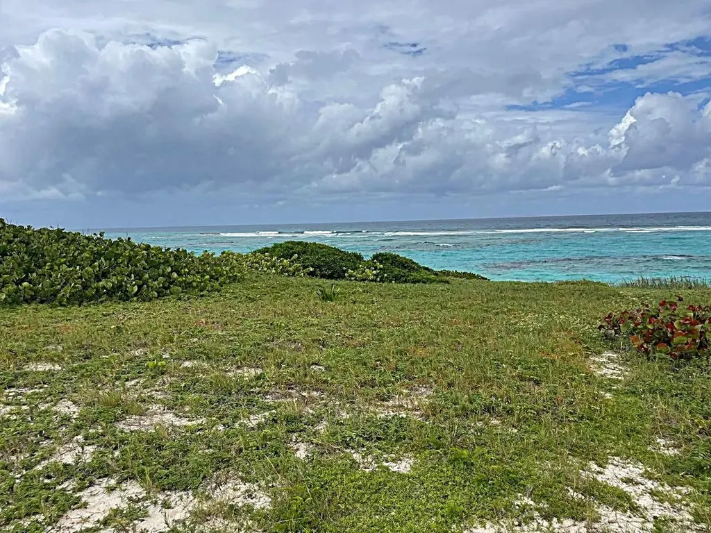 3.49 Acres, Morrisville Long Island BS