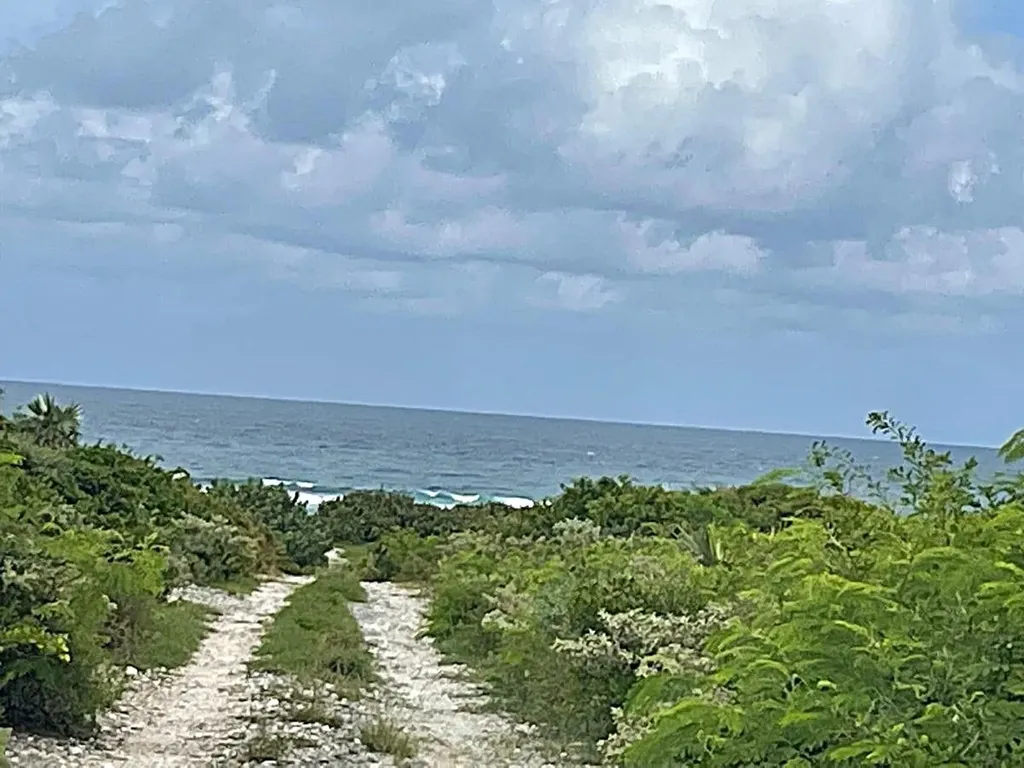 3.49 Acres, Morrisville Long Island BS