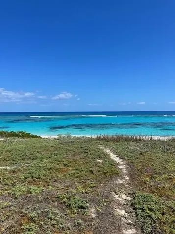 3.49 Acres, Morrisville Long Island BS