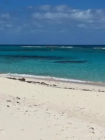 3.49 Acres, Morrisville Long Island BS